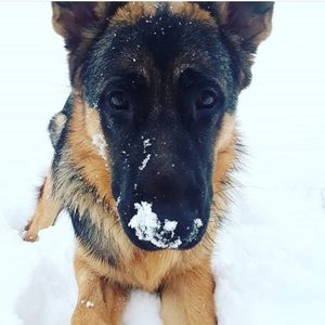 Meet your Posher, Becca